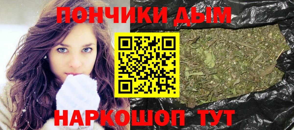 Марихуана сатива Кунгур